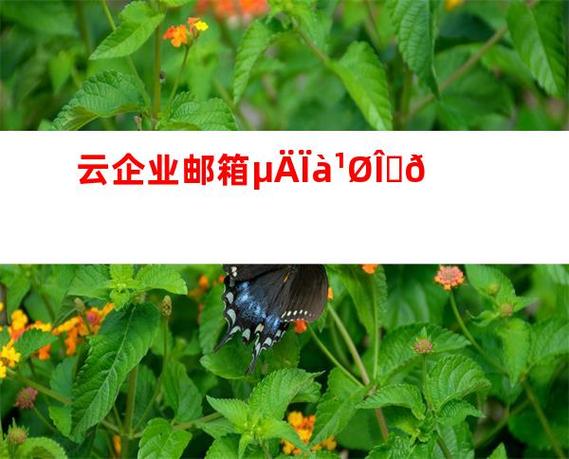 云企业邮箱
