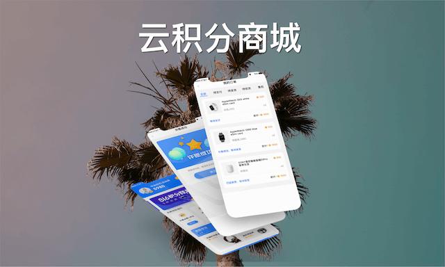 web网站,系统开发,微信公众号,小程序,app 技术外包